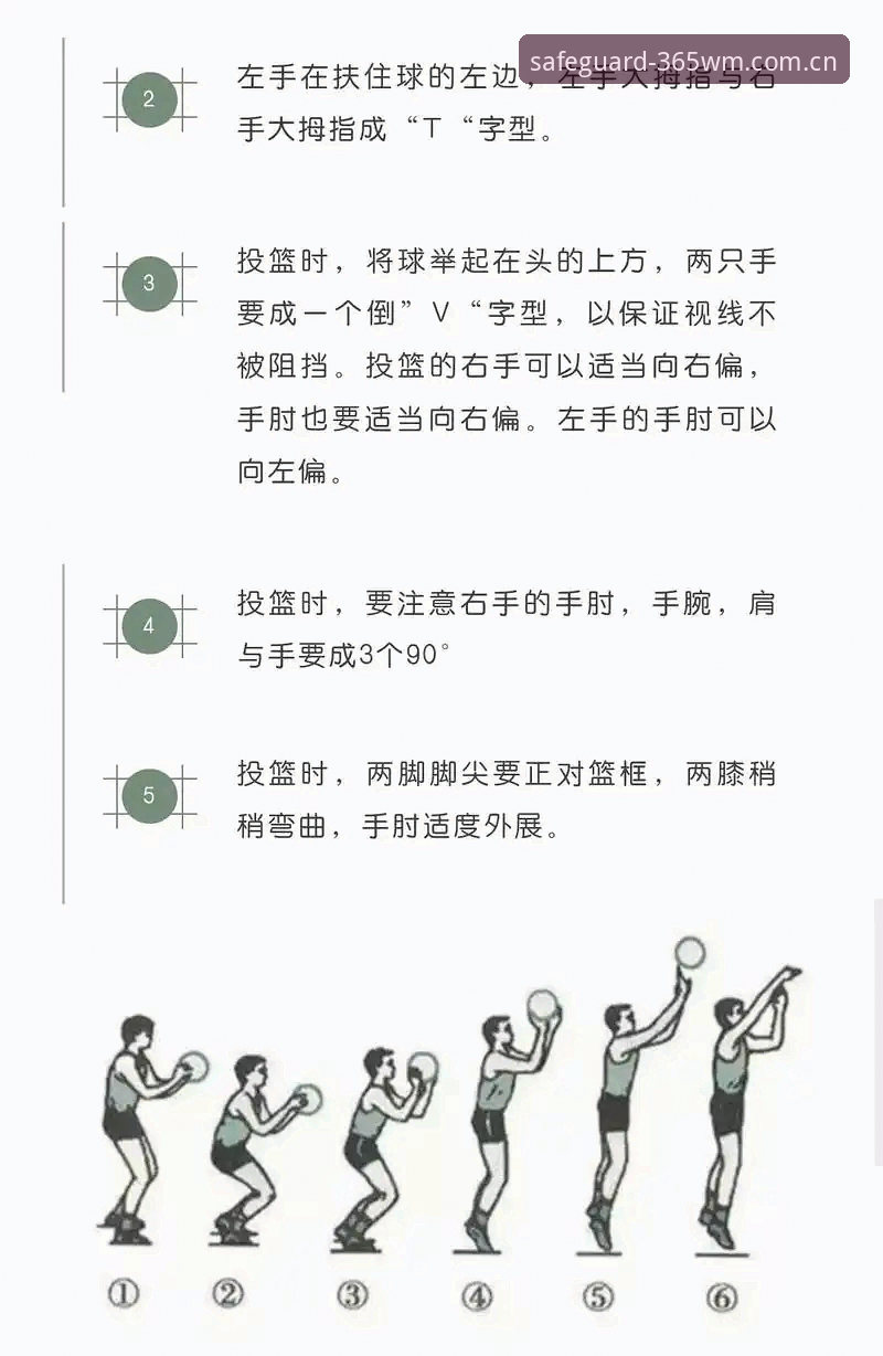 完美体育365实用指南：从新手到老手的必备知识