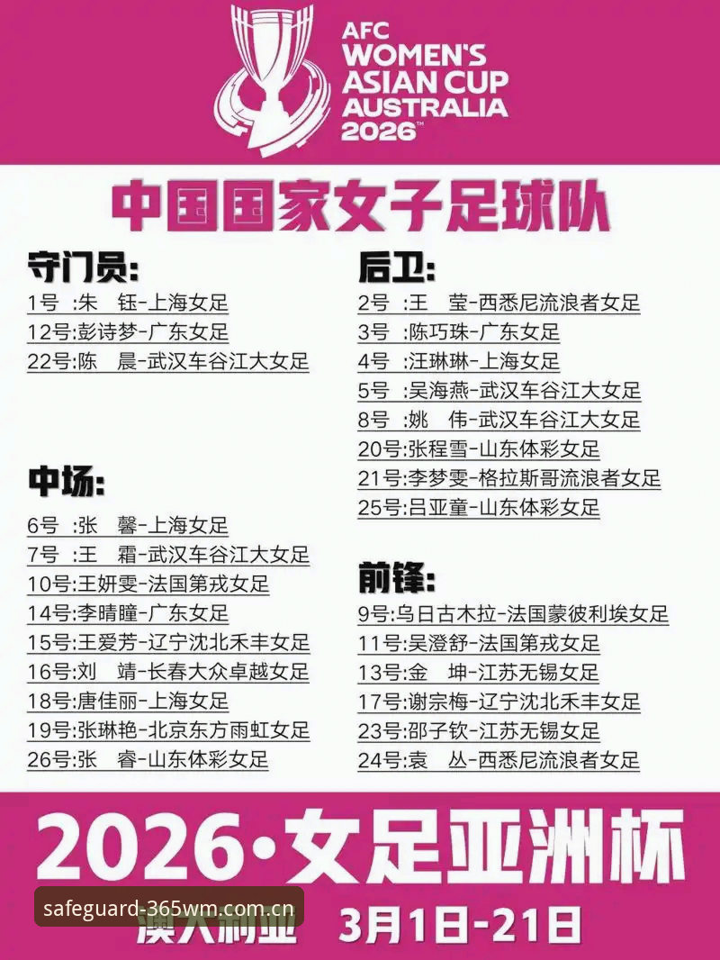 2026世界杯观赛体验全面评测：签证危机下的观赛新思路